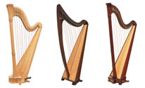 Picture of 3 Salvi Harps