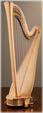 Picture of Arion SG Gold by Salvi Harp