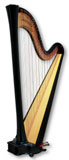 Picture of Daphne 44 by Salvi Harp
