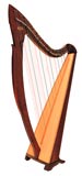 Picture of Egan by Salvi Harp