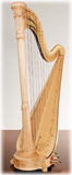 Picture of Iris by Salvi Harp